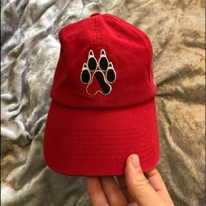 Northeastern University Hat